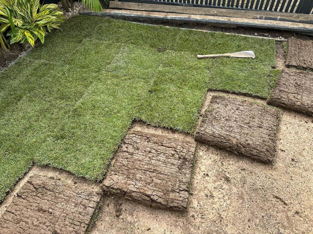 New turf being laid in a backyard beside a garden bed