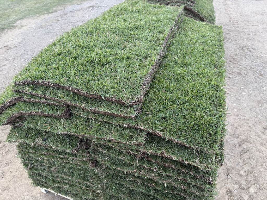 Fresh-cut turf slabs stacked on a pallet
